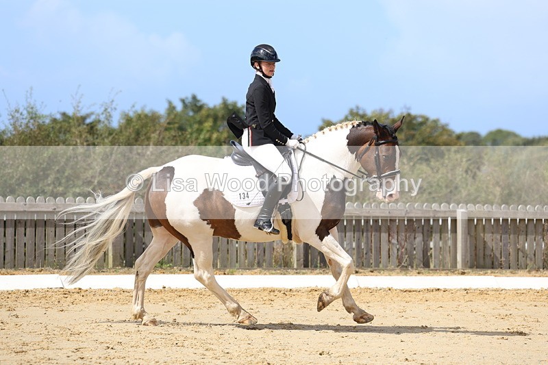 3E7A4137 - Class 9: Novice 6 Section B Championship