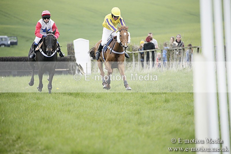 PtP 170417 23 - Old Berks Point-to-Point Lockinge 17/04/17