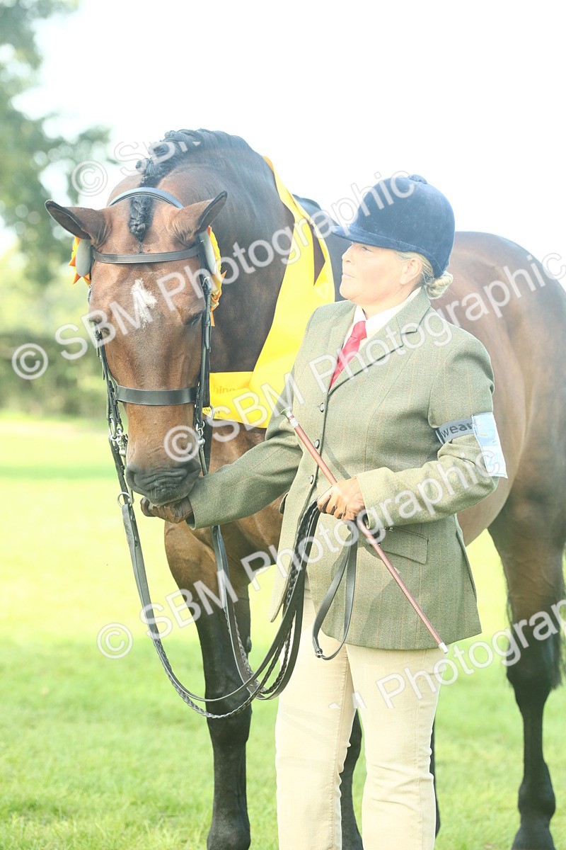 SBM_61133 - Starter Supreme Championship