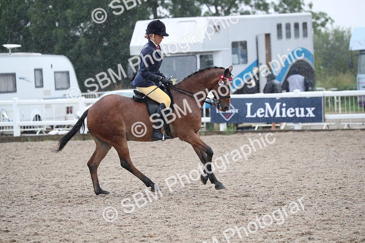 SBM_20432 - Class 601 - 2025 Area - Ridden Diamond