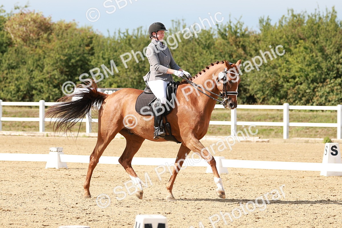 SBM_002570 - Class 11 - Medium 6