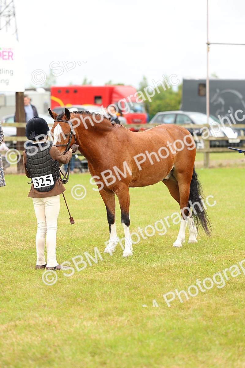 SBM_10253 - Class 44-45 - LIHS BSPS Open Nursery and Cradle Stakes