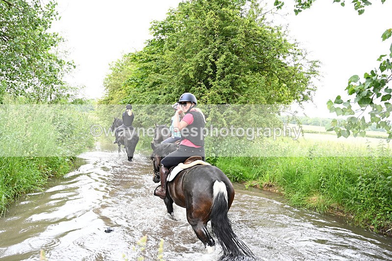 WJ7_2360 - Camera 2 Water Crossing