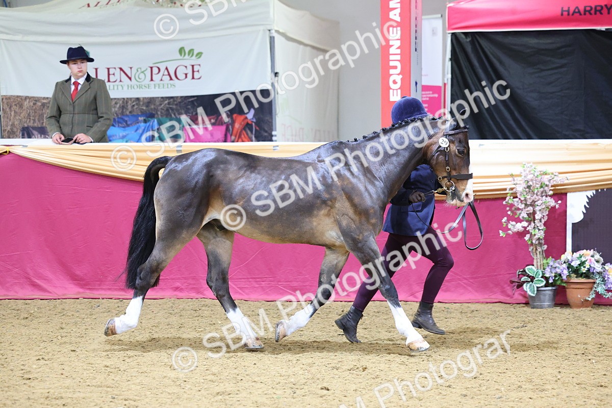 SBM_19432 - Class 901 - Supreme Final - IH Diamond