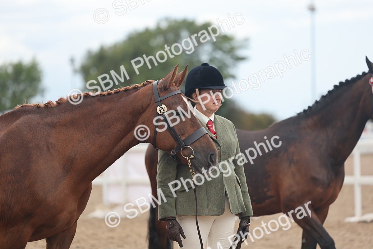 SBM_07821 - Class 27 - IH Competition Horse/Pony