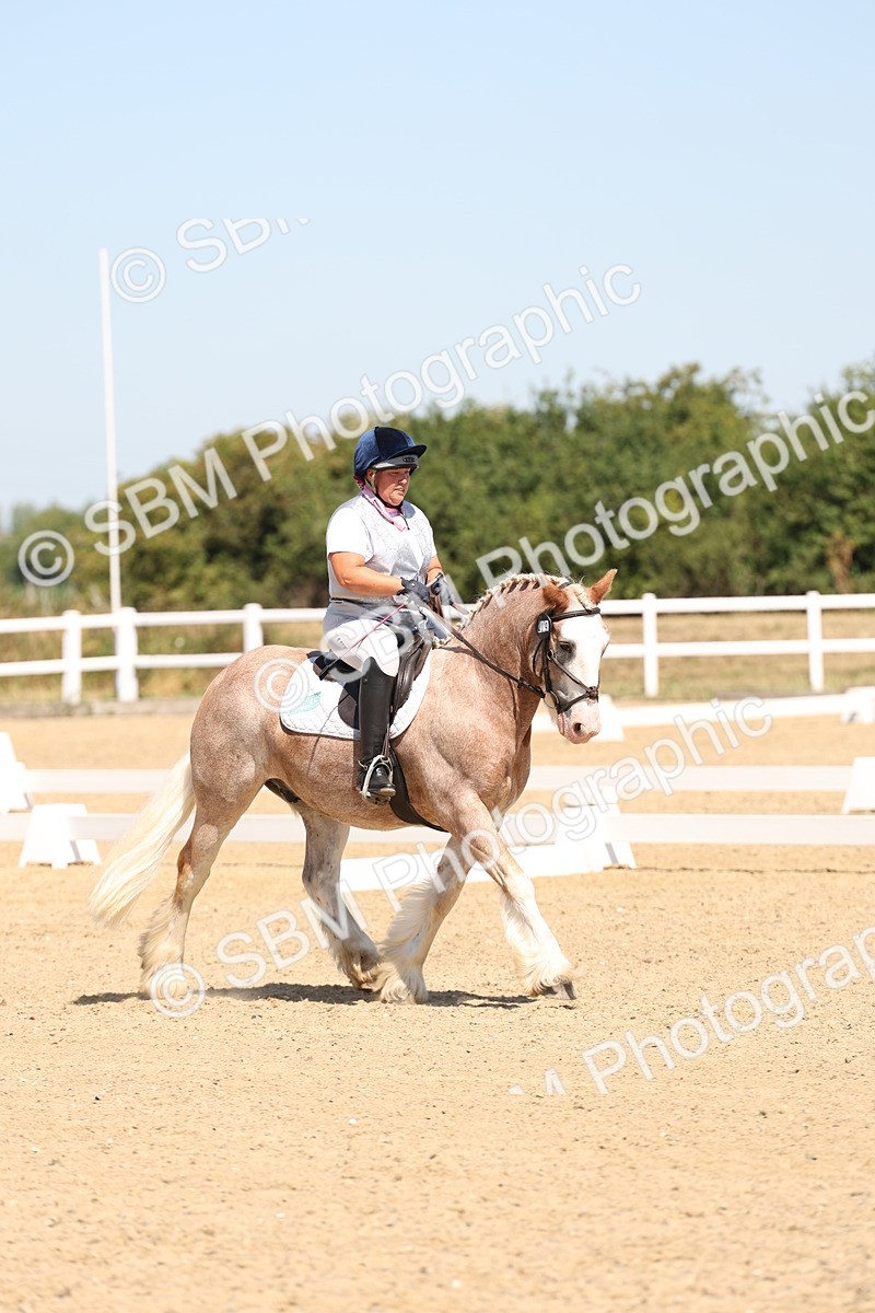 SBM_001271 - Intro 2