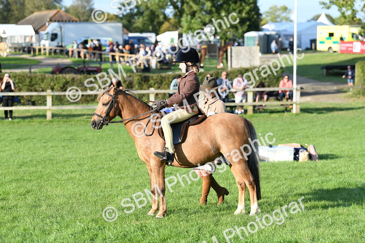 SBM_54091 - S23 - 1st Ridden Mountain & Moorland Pony