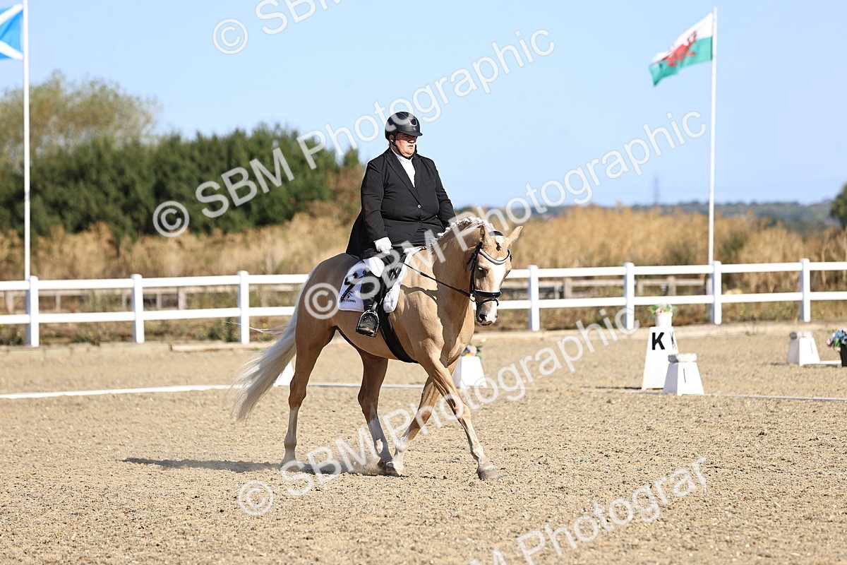 SBM_012519 - Class 2 - P5 Silver 9.00.9.49