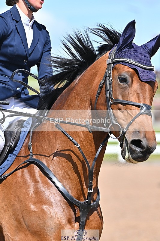 240619A-153510-00873 - Cls 5 Snr Foxhunter and 1.20m Open