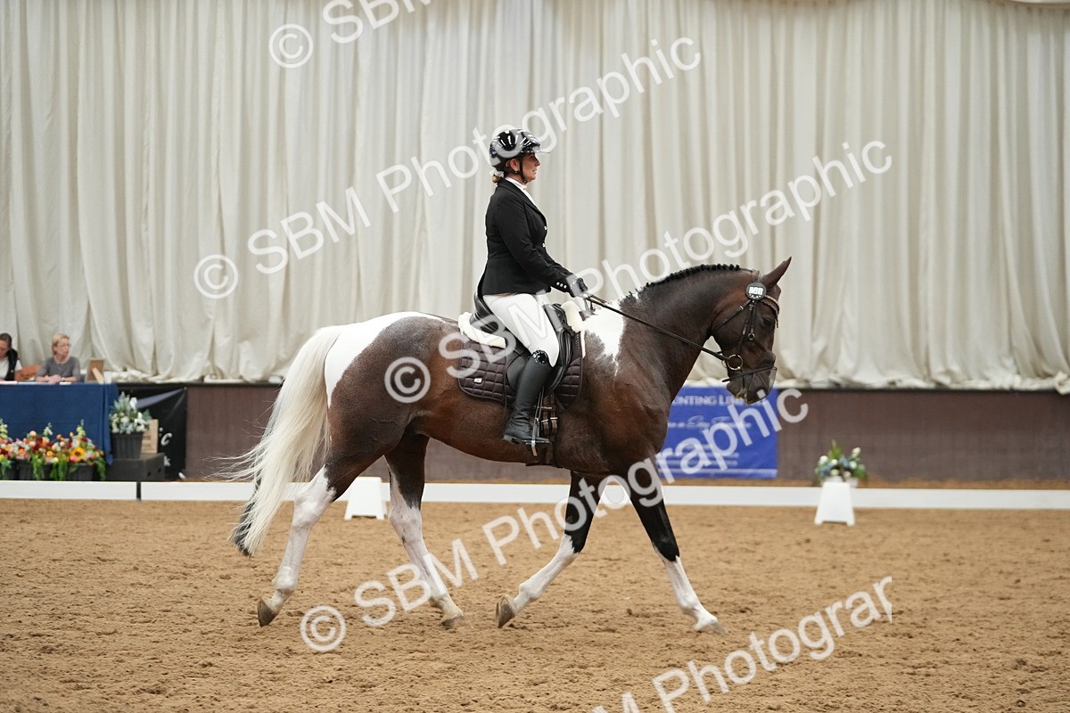 SBM_004349 - Class 11 - Elementary 2 Champs