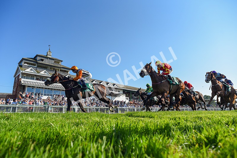 180524-Race 7-Hale End-2-2 - Race 7