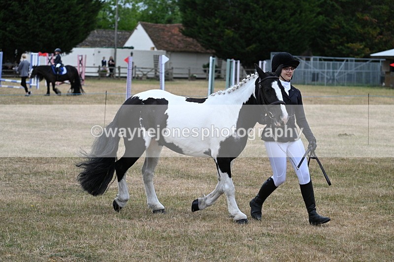 WJ7_8377 - Class 4 Prettiest Mare up to 14.2hh