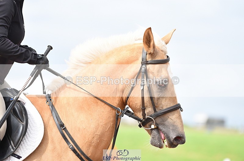 230711A-172932-00266 - 80cm