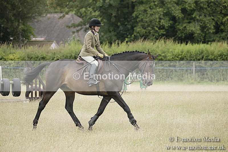 B230619-0870 - Bourne Valley Riding Club Summer Show 23/06/19