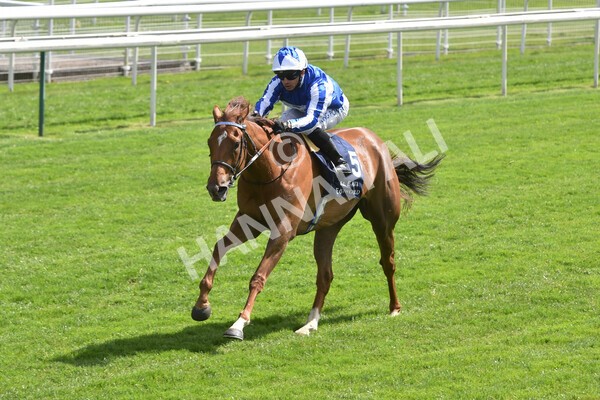 yr13052021r2-14 - Race 2 2.10pm Al Basti Equiworld Dubai Middleton Fillies' Stakes
