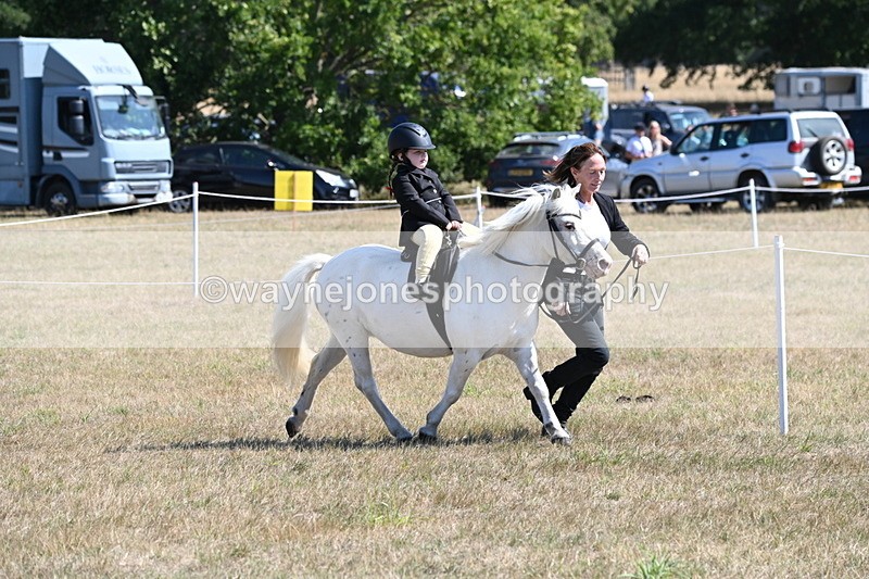 WJ6_7836 - Class 36 Lead Rein