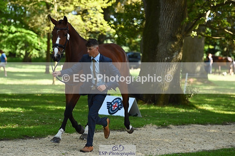 230524-160254-00642 - 201-JAEGER_MASTER-Tom_Woodward-WEDTrotUp+DR
