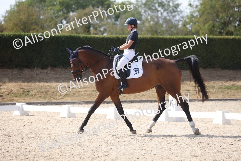 20260815-1100 - Class 6 - Novice 2