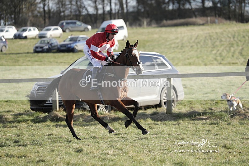 PtP 260223 1096 - South & West Wilts Point-to-Point Larkhill 26/02/23