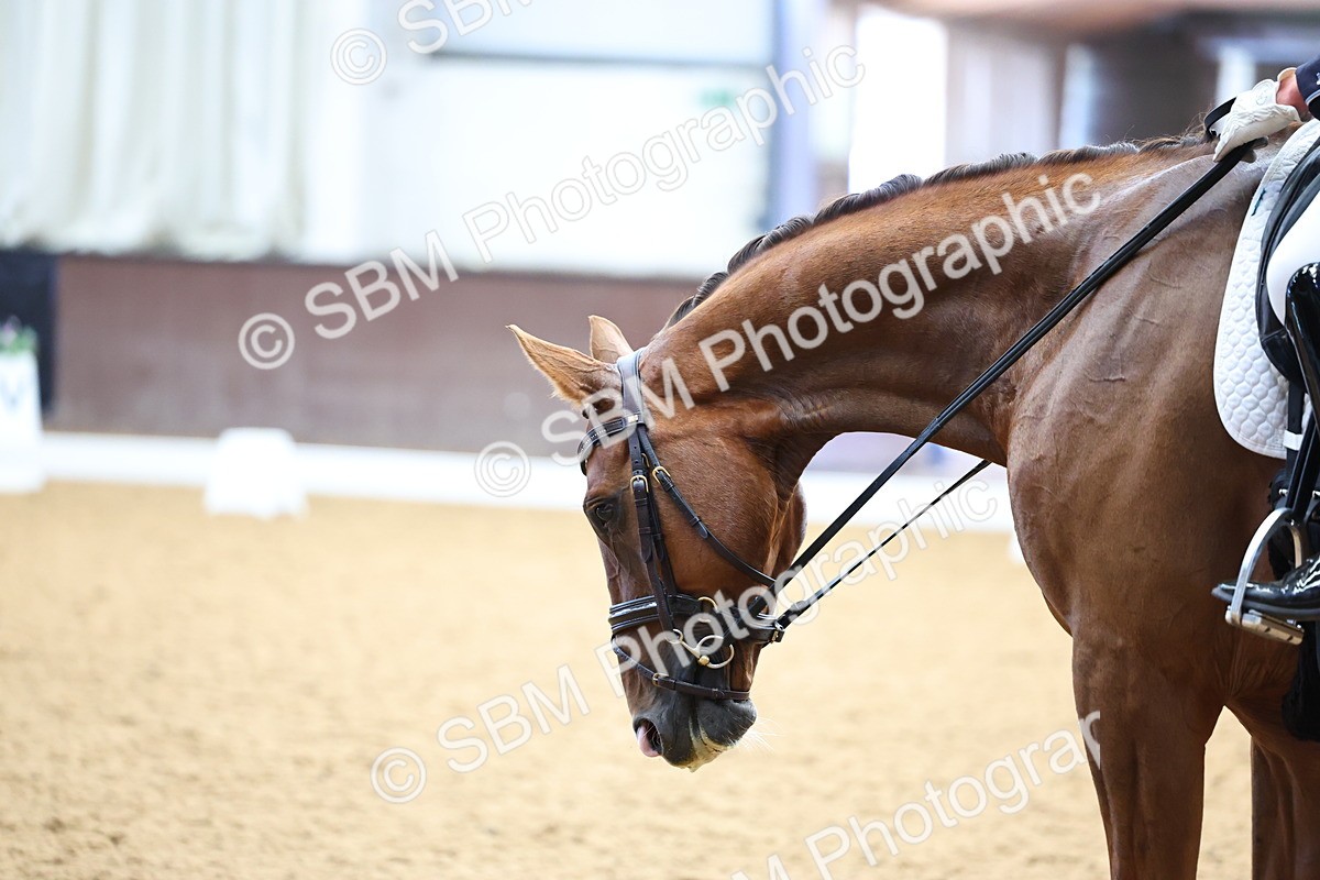 SBM_005705 - Class 5 - Novice 6 - 9.30-10.33