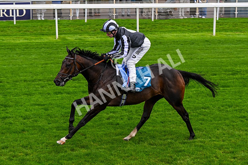 060926-Race 1-Mezzo Forte-0058 - Race 1 1.30pm Irish Thoroughbred Marketing 'Confined' EBF Maiden Stakes