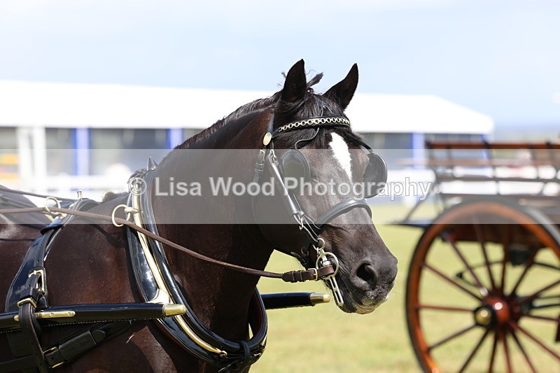 3E7A2779 - Class 12: Open Driving