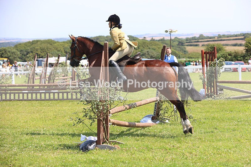 JPP_2985 - Class 22: Working Hunter 70cm