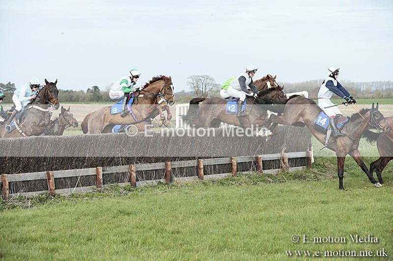 PtP 230319 428 - VWH Hunt Siddington Point-to-Point Racing 23/03/19