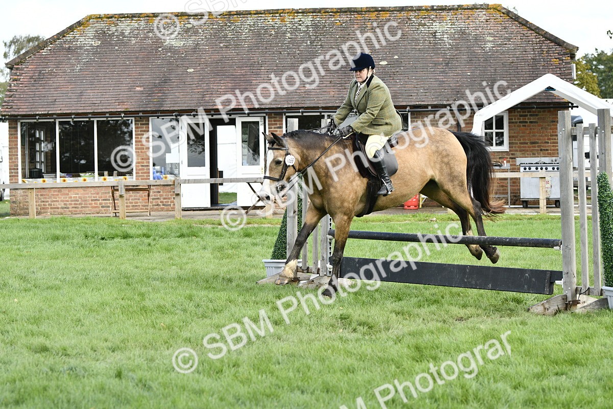 SBM_45751 - S33 - Working Hunter Pony