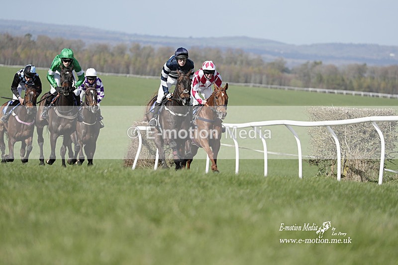PtP 100423 868 - Old Berkshire Point-to-Point Lockinge 10/04/23