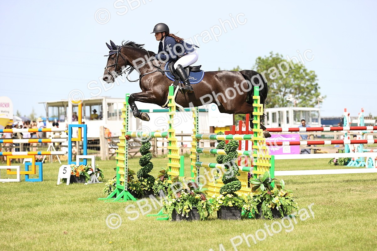 SBM_03071 - Class 201 - British Horse Feedds Speedi Beet HOYS Grade C