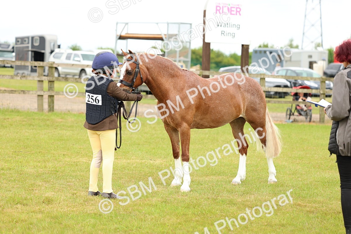 SBM_10287 - Class 44-45 - LIHS BSPS Open Nursery and Cradle Stakes