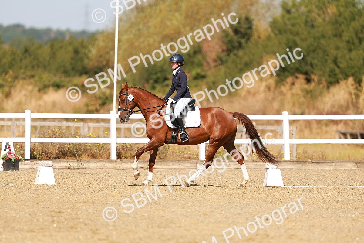 SBM_017638