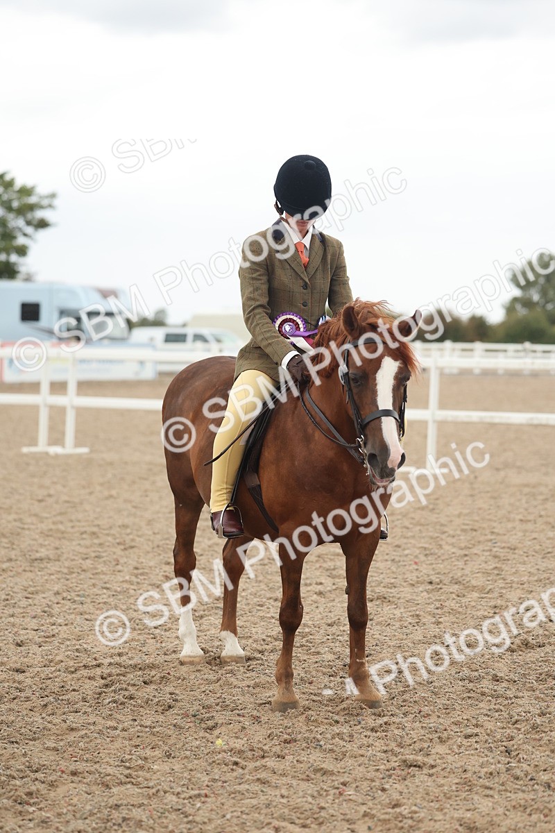 SBM_19206 - Class 316 - Best Pony-Rider Combination