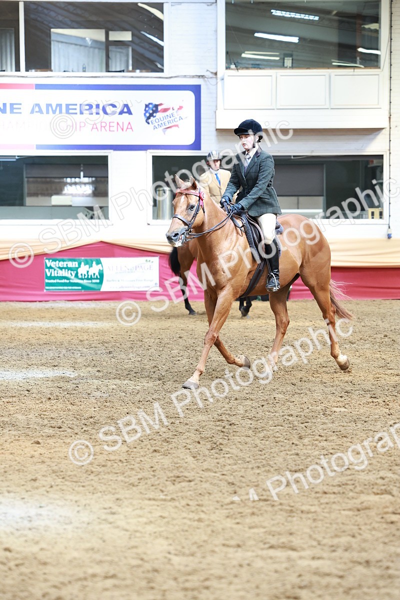 SBM_14906 - Class 108 - Ridden Retired Racehorse