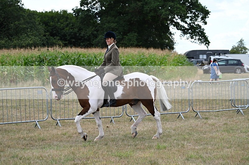 WJ7_5005 - Class 12 Ridden Cob