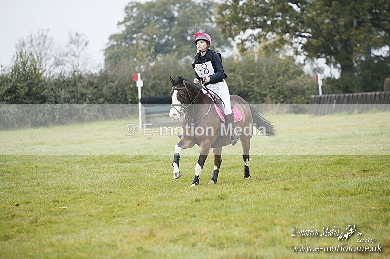 WWHT 181020 WWHT 181020 500 - WWEC Open Novice (0.80m) 18/10/20