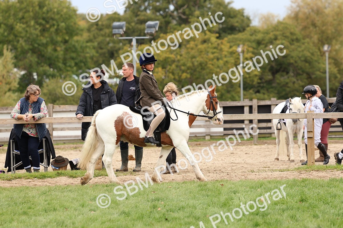 SBM_64391 - S58 - Coloured Pony Ridden