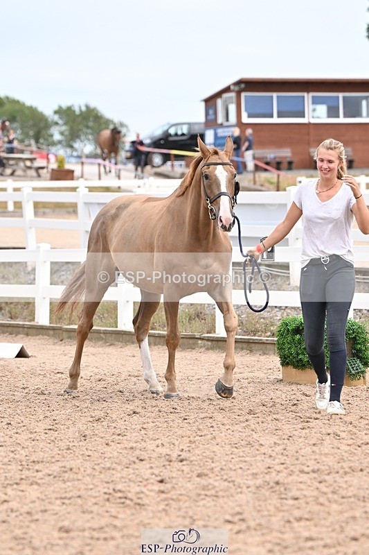 250716-153145-01980 - Trot Up 3.30 to 4.30