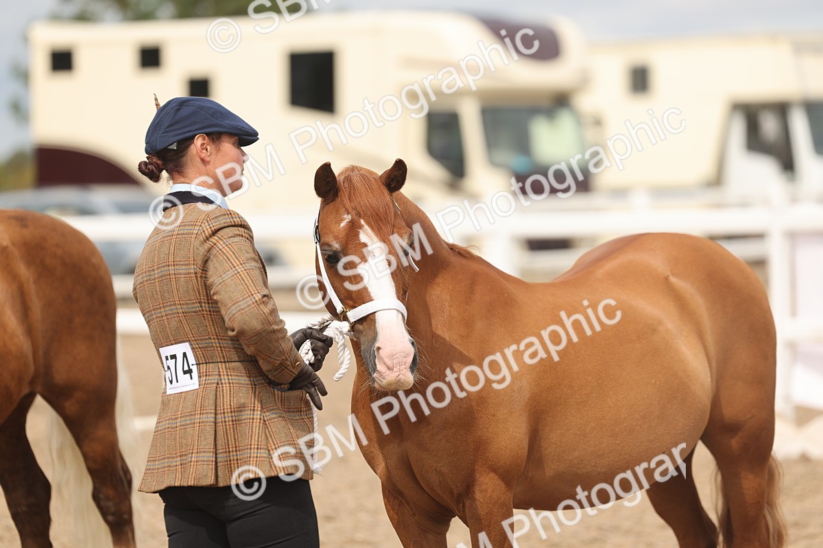 SBM_05011 - Class 20 - IH Veteran