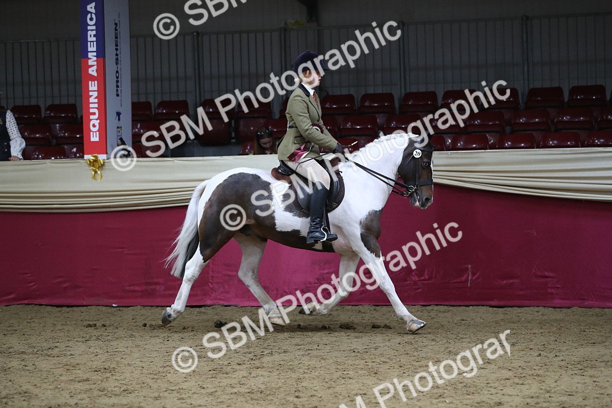 SBM_08497 - Class 11R Regional Ridden Veteran
