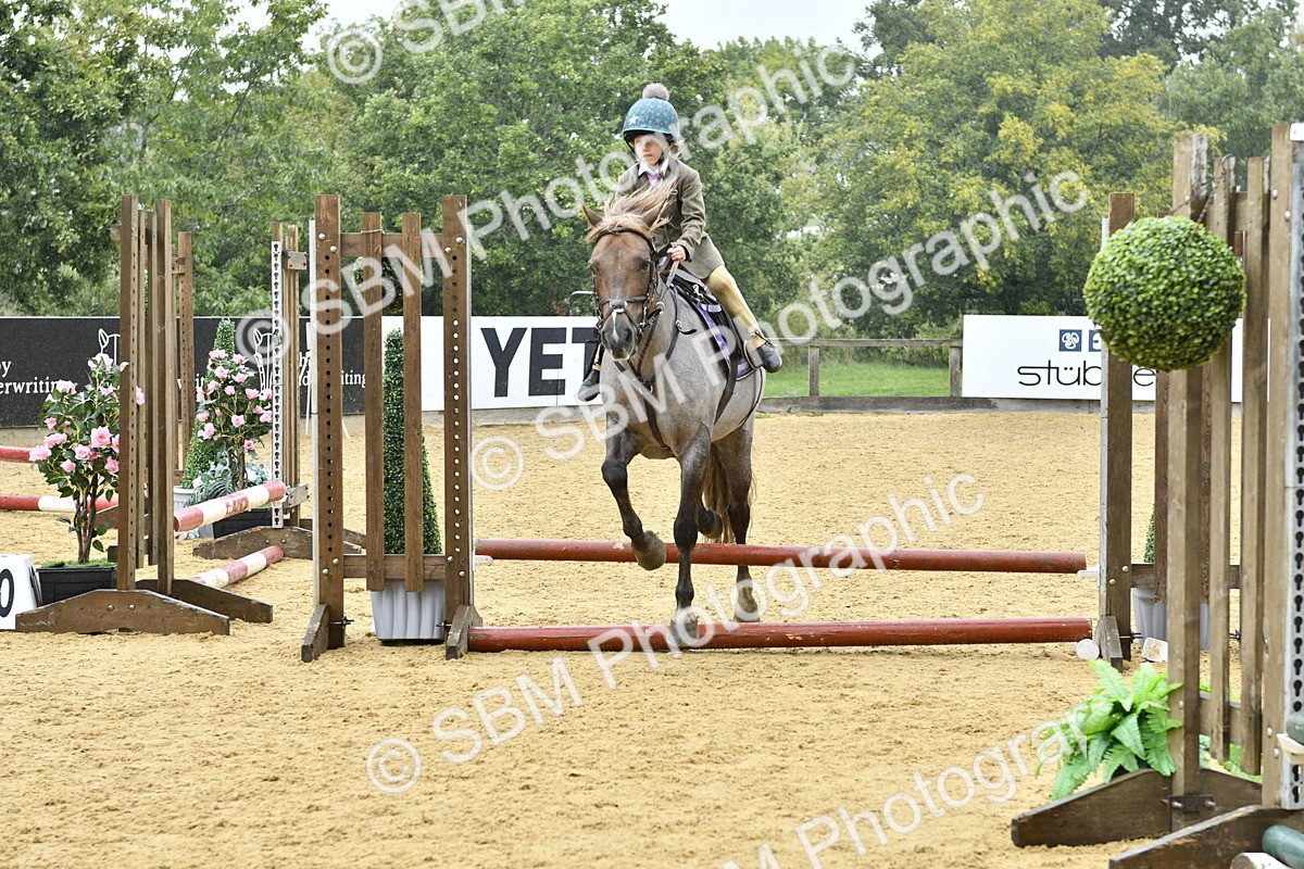 SBM_70909 - J3 - Mini Tour Junior Pony 40cm championship