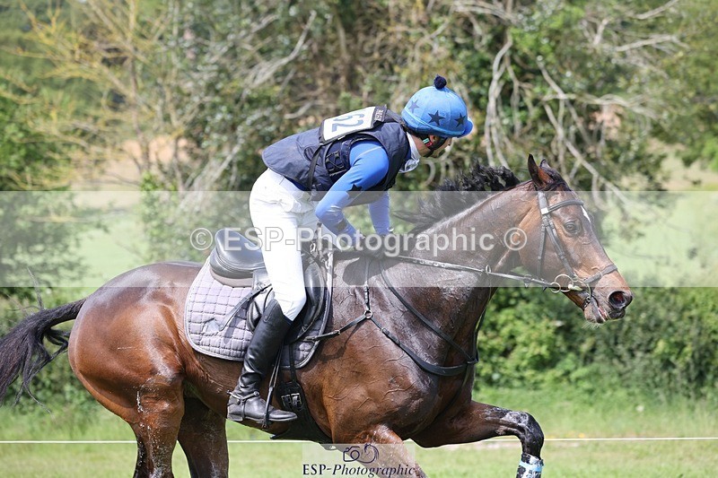 240525-141141-14541 - 162-HAZZLE_DAZZLE-Henry_Hobby