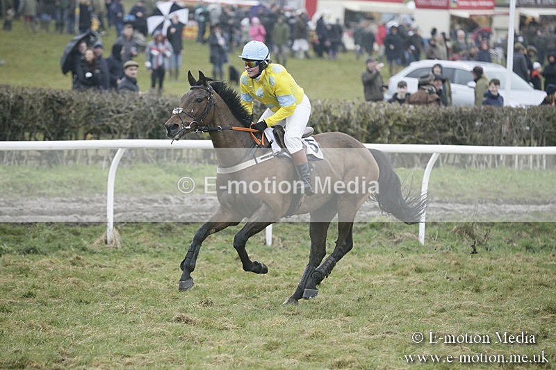 PtP 020418 -341 - Old Berks Point-to-Point Races Easter Monday 02/04/18