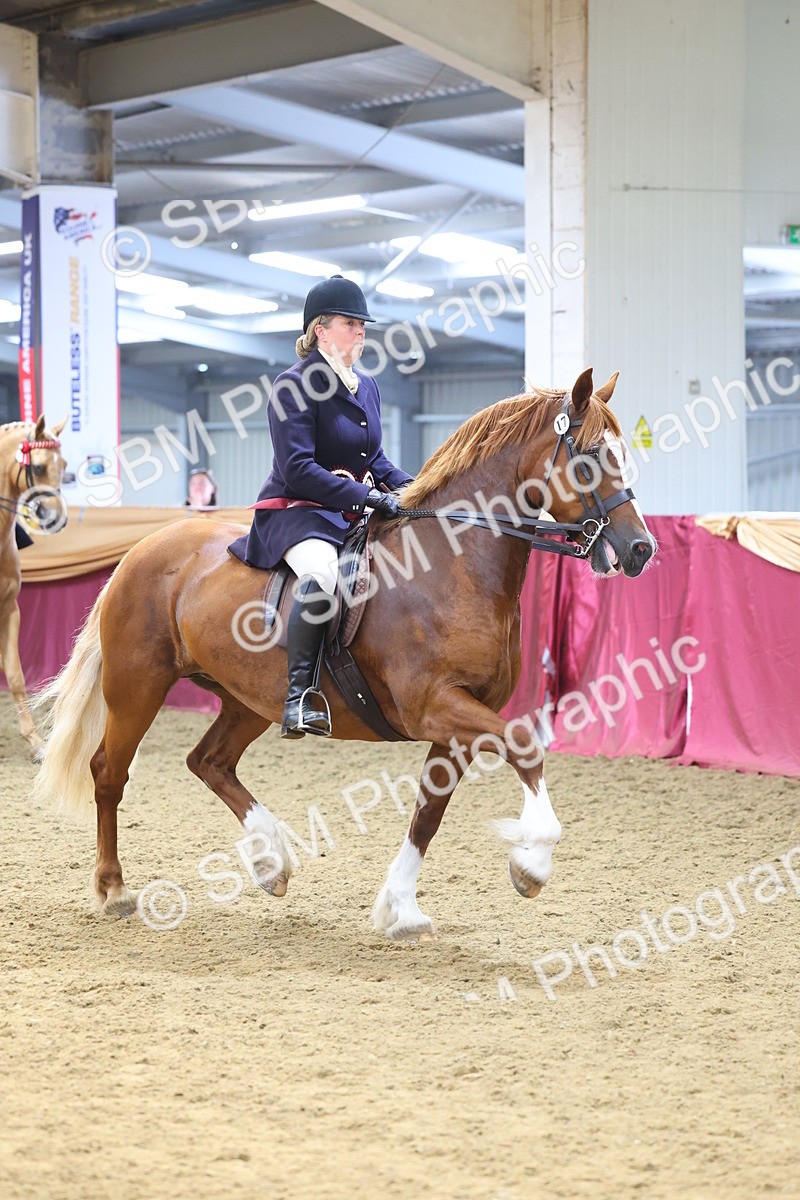 SBM_24703 - Class 906 - Supreme Final - Ridden Pre Vet