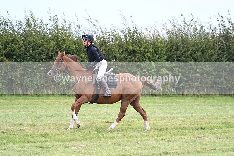 WJ7_6705 - Time 12:00 to 12:17