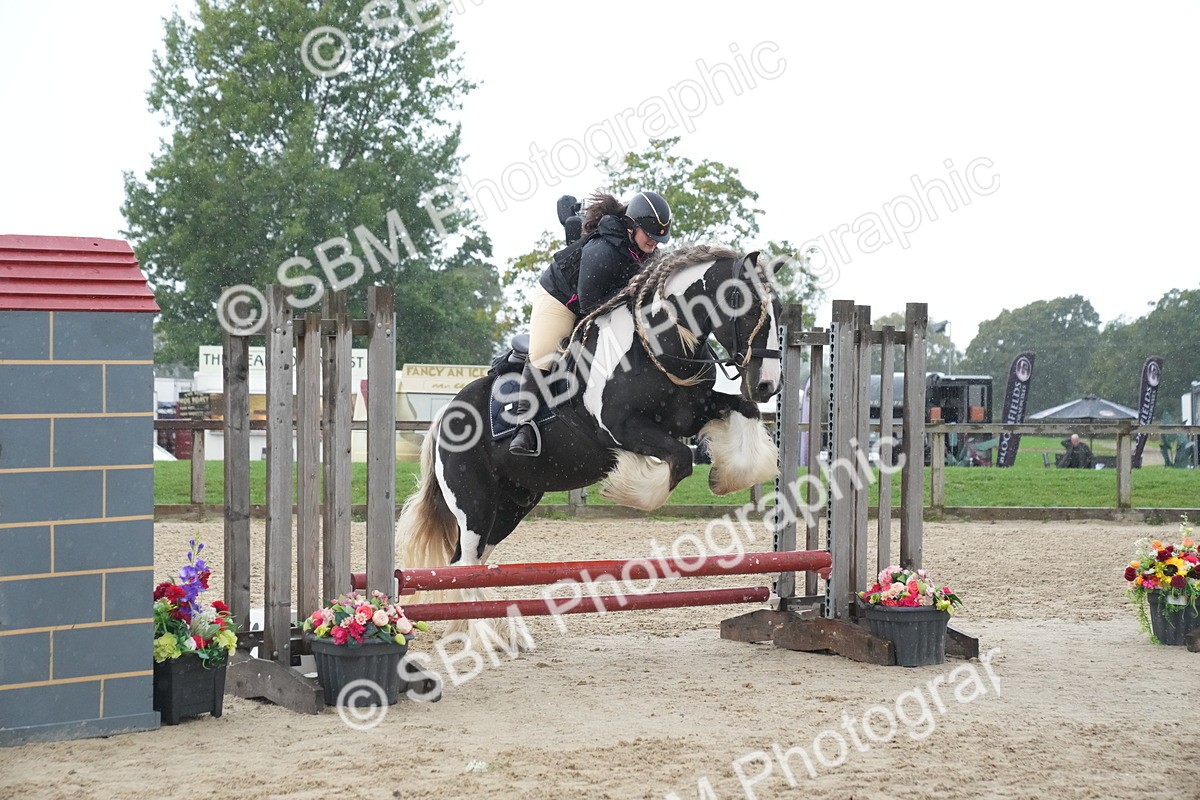 SBM_01590 - J54 - Clear Round 50cm