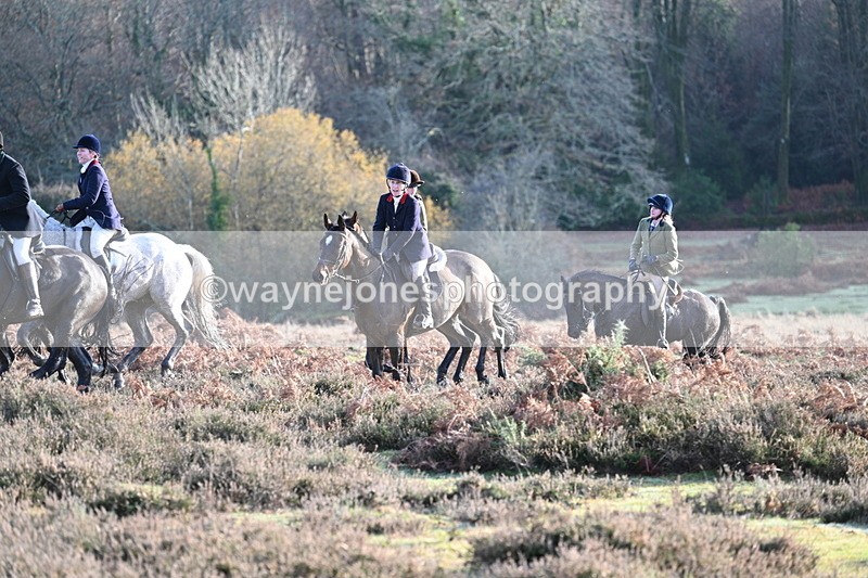 WJ7_7922 - Line 3 (no line 4 or 5)