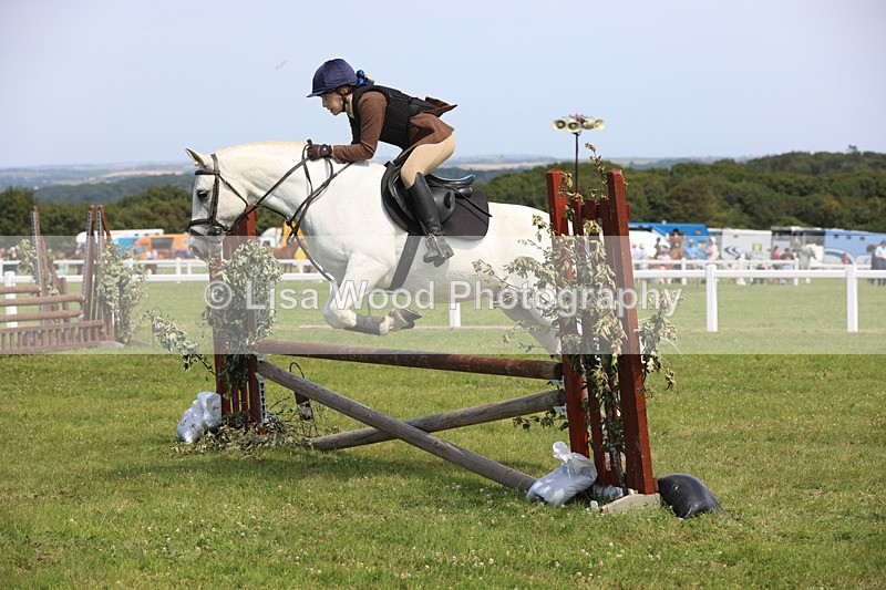 JPP_3615 - Class 23: Working Hunter 80cm