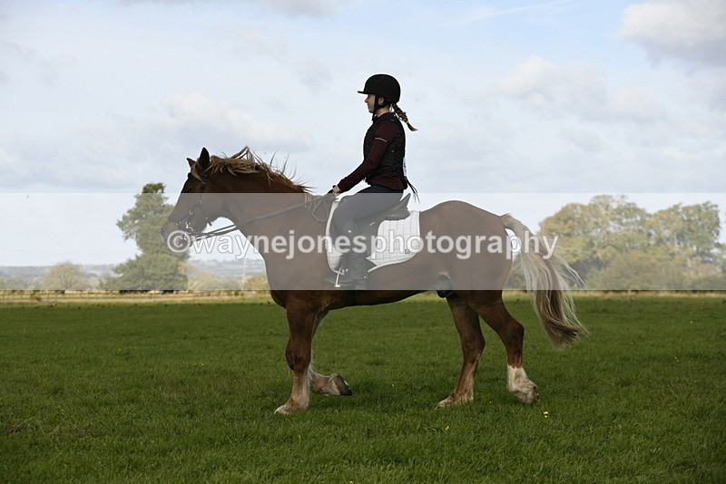 _DSC6115 - Time 11:23 to 12:05